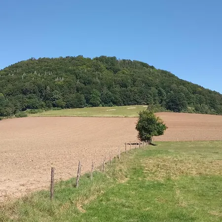 Ferienwohnung Mw 82M2 Hoexter Weserbergland An Der Weser 2 Terrassen Waesche Und Endreinigung Exterior foto