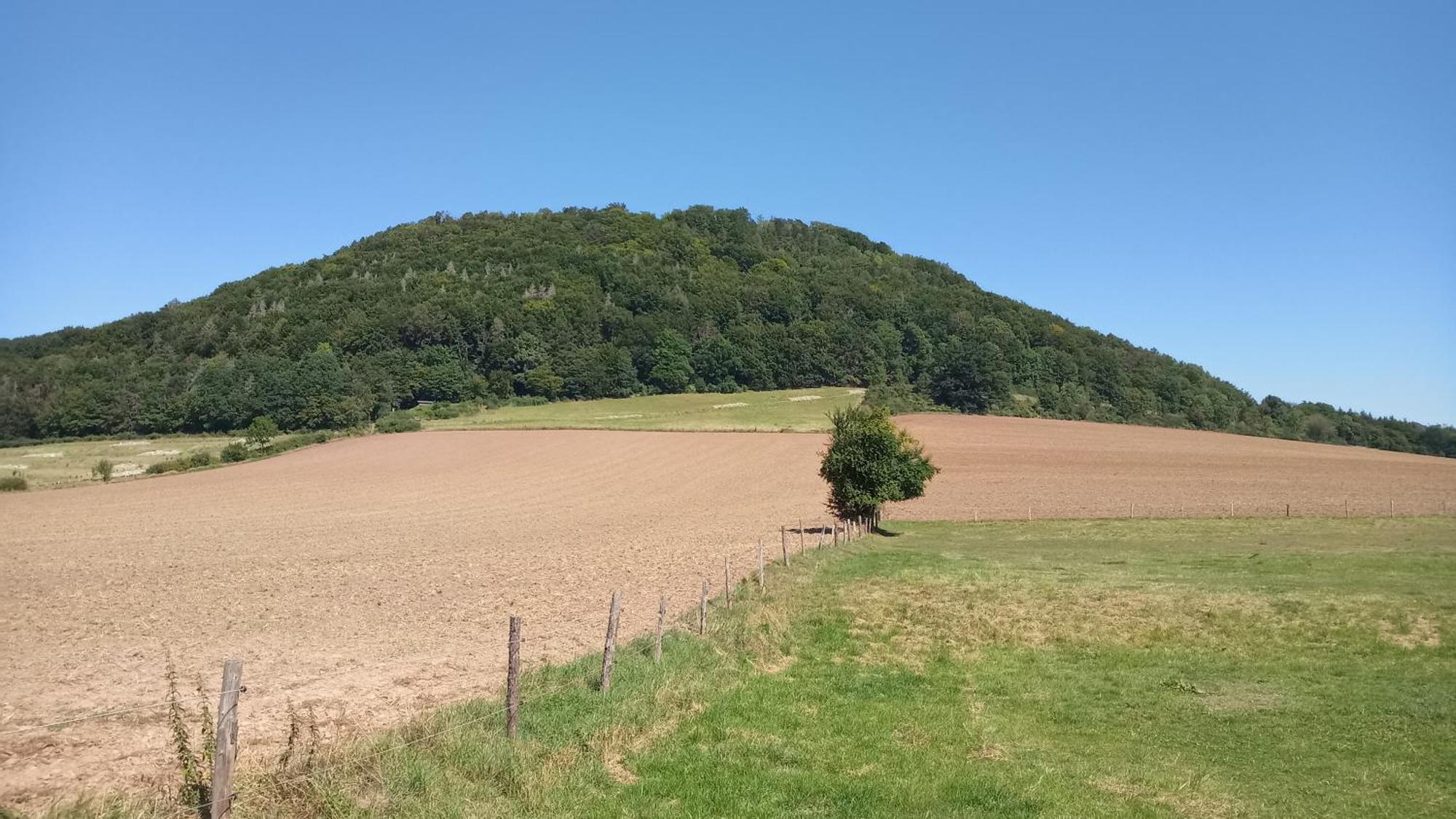 Mw 82m2 Weserbergland An Der Weser 2 Terrassen Waesche Und Endreinigung Apartment Höxter