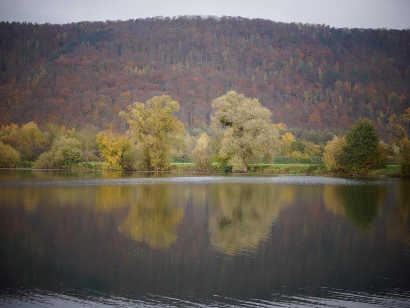 Apartment Mw 82m2 Weserbergland An Der Weser 2 Terrassen Waesche Und Endreinigung Höxter