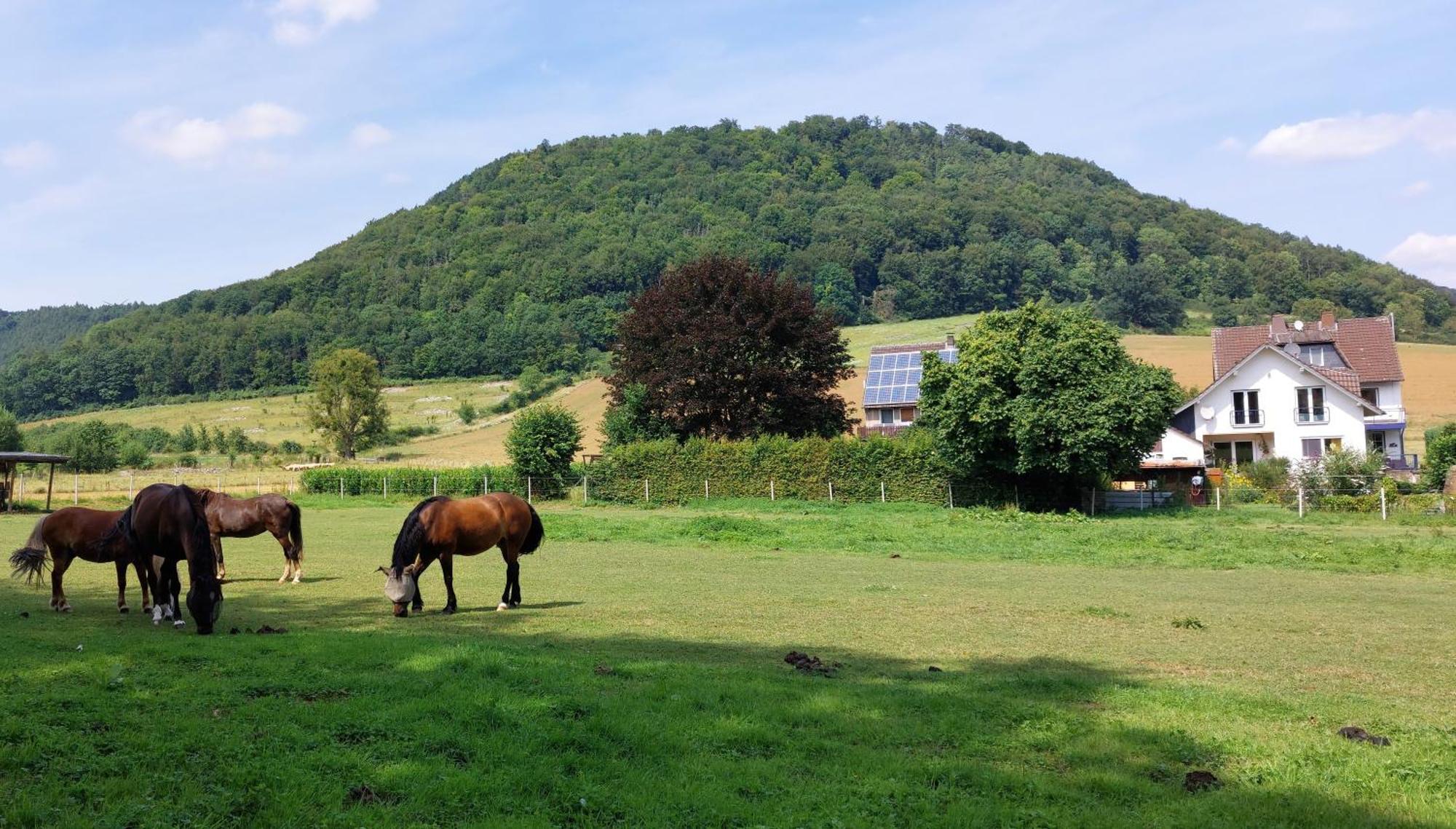 Apartment Mw 82m2 Weserbergland An Der Weser 2 Terrassen Waesche Und Endreinigung Höxter